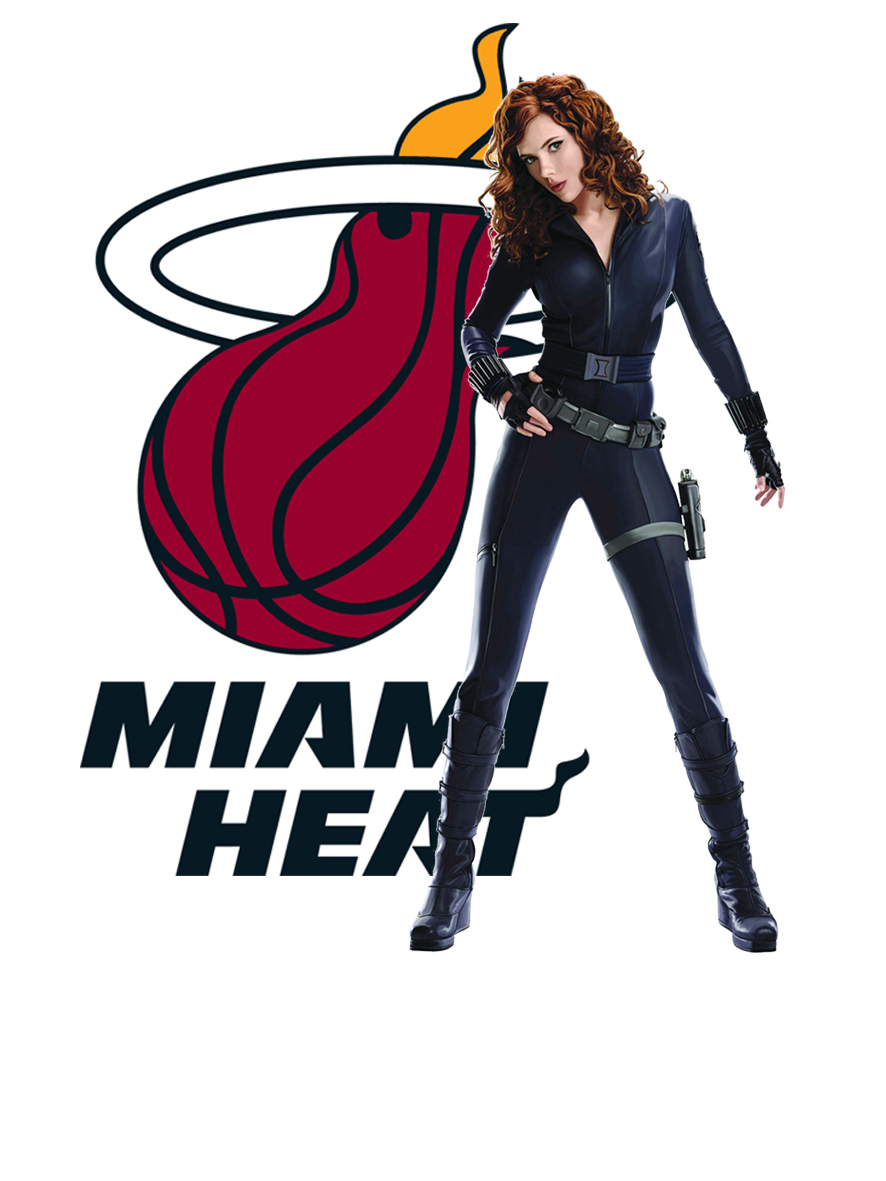 Miami Heat Black Widow Logo vinyl decal